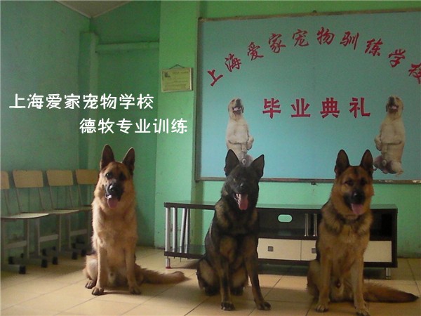 (i)ҌW(xu)УI(y)Ӗ(xn)