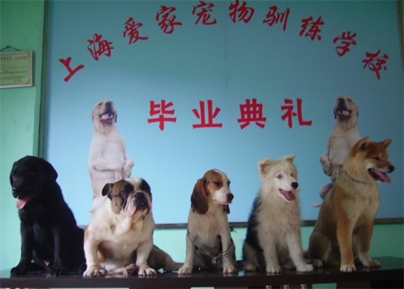 Ӗ(xn)W(xu)УW(xu)УӖ(xn)Ӗ(xn)W(xu)У