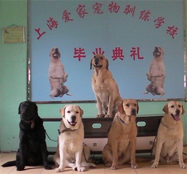 W(xu)У
