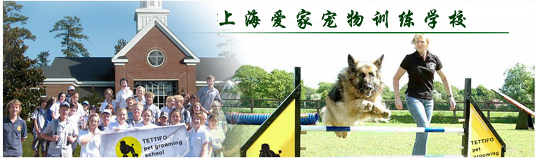 訓(xùn)犬 訓(xùn)犬學(xué)校
